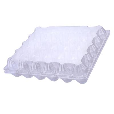 China Transparent Egg Blister Plastic Egg Tray 30 Holes PET Plastic Egg Trays For 30 Eggs for sale