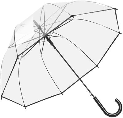 China Plastic Umbrella Apollo Arch Birdcage Umbrella Custom Queen Advertising European-style Straight Clear Umbrella Children's Fashion Umbrella for sale