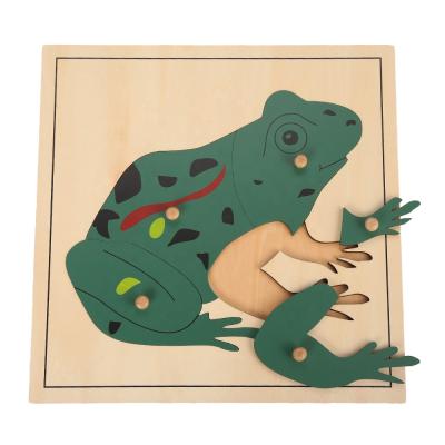 China Montessori teaching aid all kids Jueguetes montessori materials frog wooden puzzle for new beginning school for sale