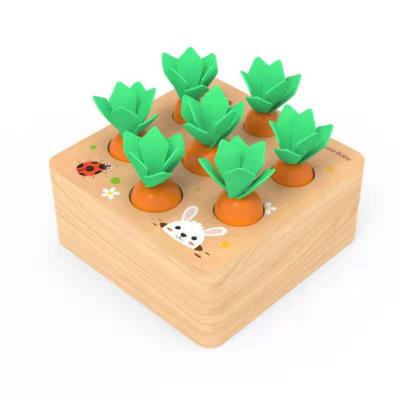 China Good Motor Skills Baby Montessori Toys Solid Wooden Wooden Learning Educational Carrots Harvest Shape Game for sale