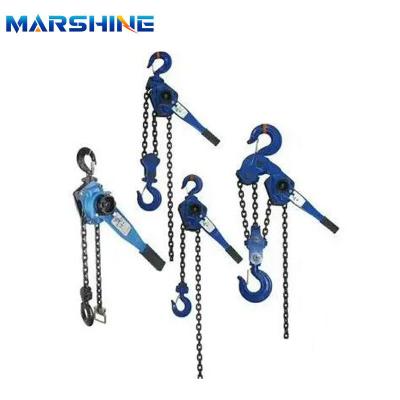 China 500 kg Hand Wrenching Chain Tackle Block Hoist Crane OEM for sale