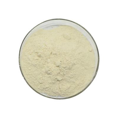 China Coloide no iónico dietético insoluble del polvo Konjac con poco carbono de Glucomannan en venta