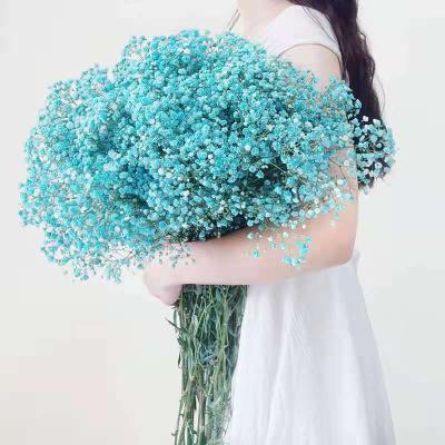 China Events Decoration Baby's Breath Preserved Flowers Bouquet Natural Gypsophila Branches For Home Decor for sale