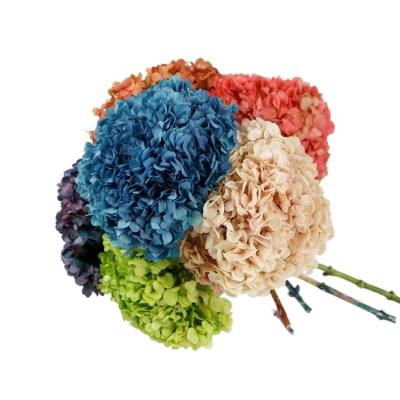 China Natural Fresh Flower Preserved Flower Hydrangea For Home Decor Wedding Decorations for sale