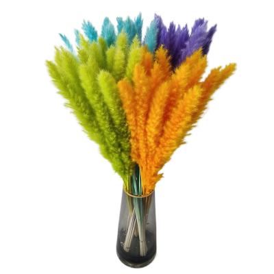 China 2021 Hot Selling Events Decoration Amazon Artificial Flowers Decorative Flowers Dried Preserved Flowers Small Pampas Grass for sale