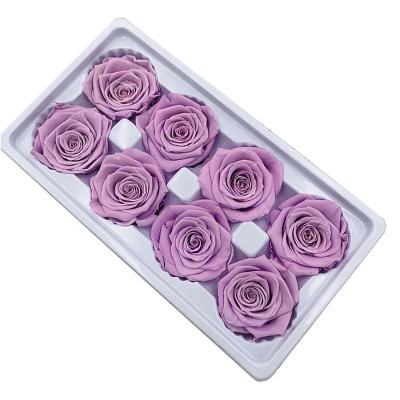 China Purple yellow pink blue white decoration good prices all colors Eternal Rose Flowers 4 to 5 cm box 8 PCS for sale