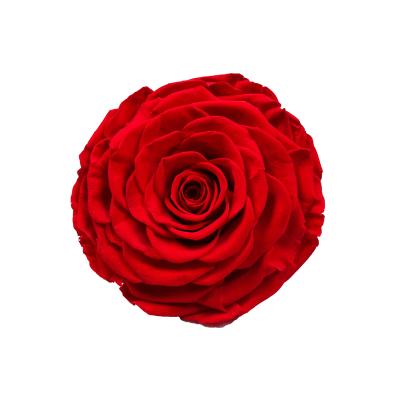 China Decorative Luxury Class A++ 9 10cm Superb Large Rose Preserved Flower Head For Decoration Flower Panel Layout for sale