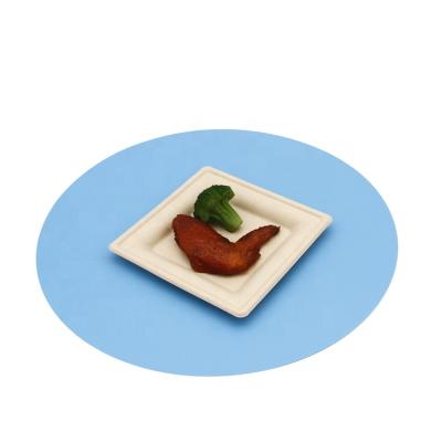 China Latest Style Biodegradable Sugar Cane Bagasse Dishes With Competitive Price for sale