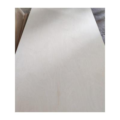 China Modern Birch Film Veneer Plywood For Furniture / Building Birch / Packaging Plywood Panels for sale