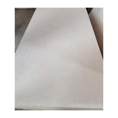 China Modern Birch Plywood, Poplar Plywood, PVC Coated Plywood For Furniture / Construction for sale