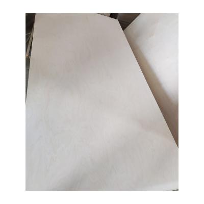 China Modern Factory Directly Supply High Quality Commercial Plywood Birch Pine Plywood for sale