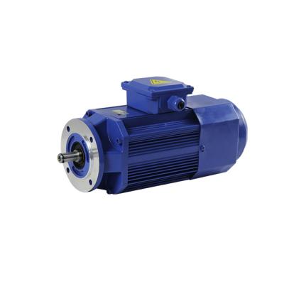 China Totally Enclosed Electromagnetic Brake 3 phase AC Asynchronous Motor for sale