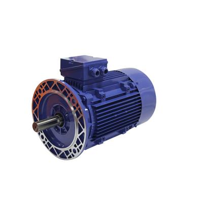 China Totally Enclosed Three Phase Variable pole multi-speed electromagnetic brake motor for sale