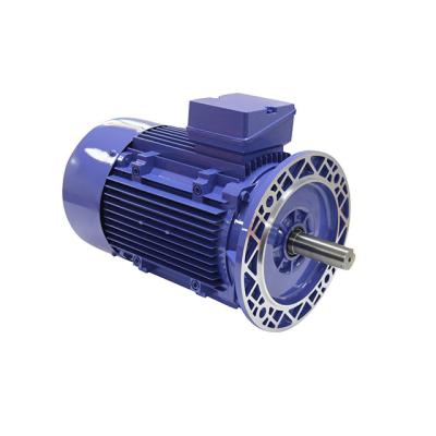 China Totally Enclosed High Quality speed change Induction Universal Ac Motor 380V for sale