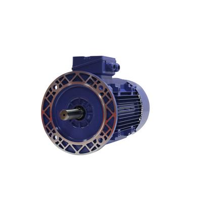 China Totally Enclosed High Efficiency 1.1kw Ex Three Phase Flame Proof Induction Variable Frequency Motor for sale