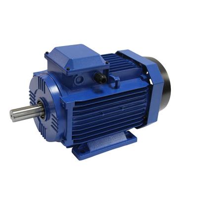 China Totally Enclosed High Voltage Induction Ac Electric Motor For Pump for sale