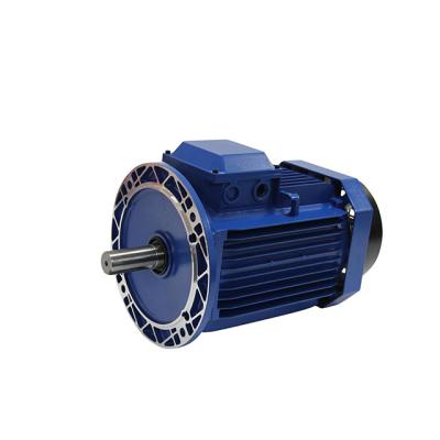 China Totally Enclosed High Quality 1Hp Electric/Electrical Motor for sale