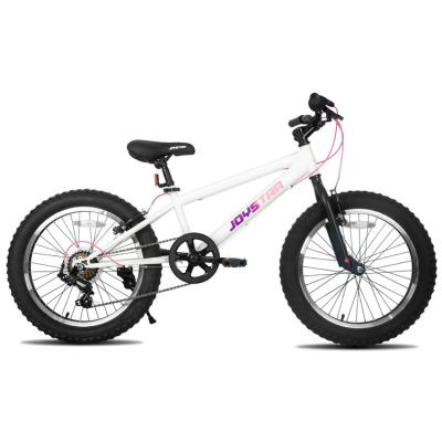 China New custom design steel 20 inch sepeda anak environment friendly kids bike white fat bike for girls for sale