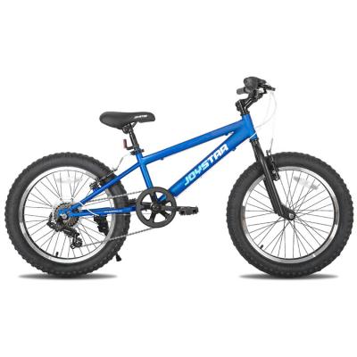 China Custom Professional Manufacturer 20 Inch Blue Fat Tire Kids Bike Steel Customized Bike For 6 7 8 Years Old for sale