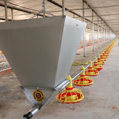 China Save Breed Cost Poultry Farming Equipment Chicken Feeding Pan With Ventilation Exhaust Fan for sale