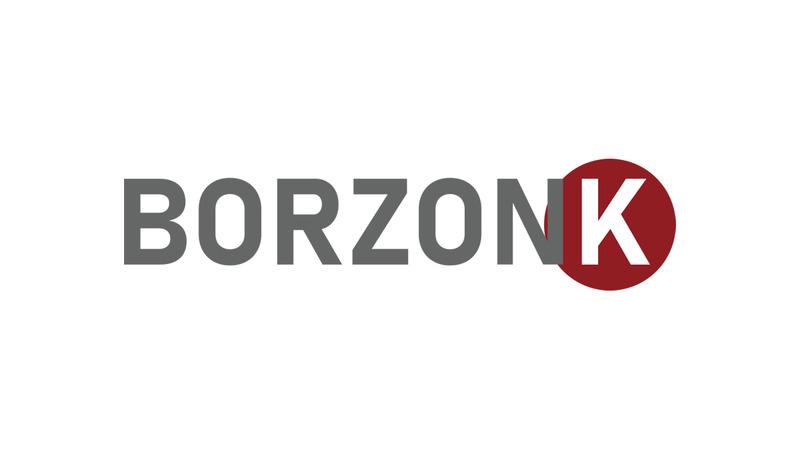 Verified China supplier - Borzonk (Shenzhen) Technology Co., Ltd.