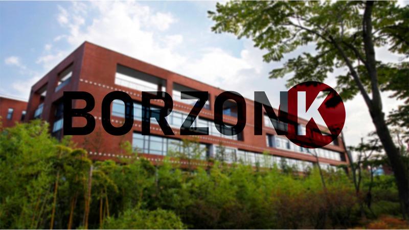 Verified China supplier - Borzonk (Shenzhen) Technology Co., Ltd.