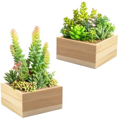 China Multifunctional Square Design Cactus Flower Pot Succulent Wooden Storage Box Eco-friendly Viable for sale