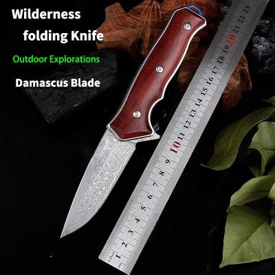 China 2021 CENTIPEDE Folding Non-variable Knife Hunting Outdoor Pocket Knife Camping Knives High Hardness Damascus Blade Tactical Wood Handle for sale