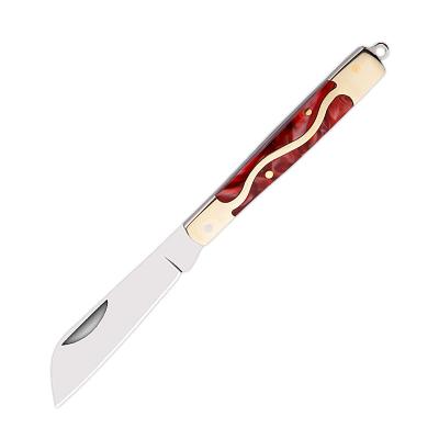 China 2022 latest version stainless steel screw multi-function fruit knife exquisite paring knife folding acrylic knife for sale