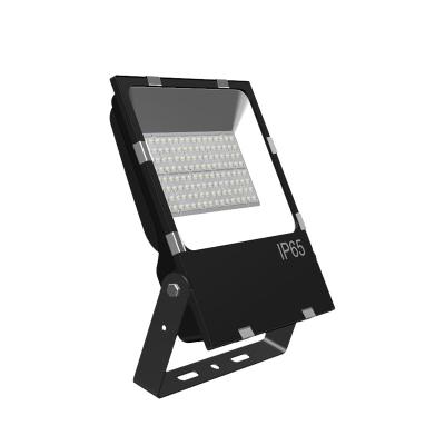 China Modular Warehouse/Workshop/Garage/Sports Stadium Flood Light IP65 50W 100W 150W Led Flood Light for sale