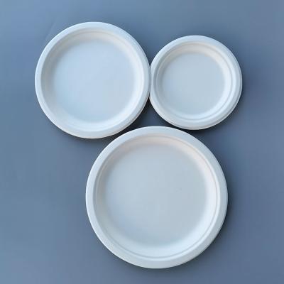 China China Factory Biodegradable Product White Round Disposable Plates Customized Size / Color Disposable Plates for sale