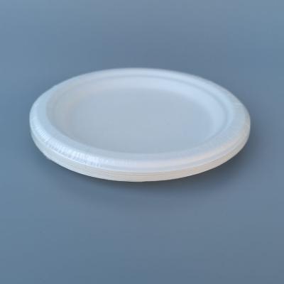 China Factory Direct Sale Biodegradable Disposable Dishes Bulk Production Party Disposable Dishes for sale