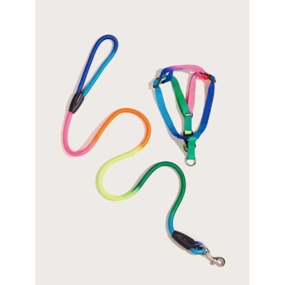 China Viable Colorful Pet Leash Cat Leash Thoracodorsal Traction Rope Leash for sale