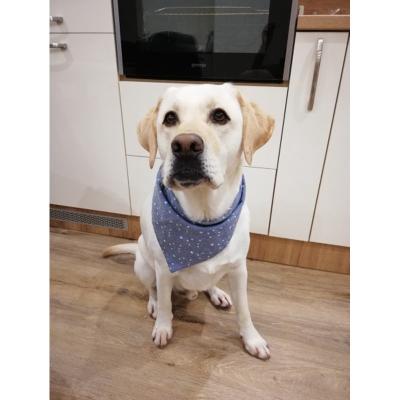 China Fashion Pet Saliva Towel Dog Scarf Triangle Dog Pet Bib for sale