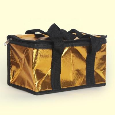 China 2018 New Design Promotional Insulated Folding Cooler Bag Waterproof For Frozen for sale