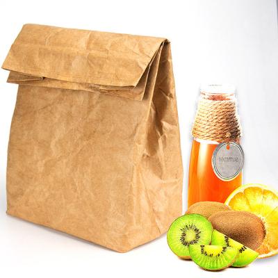 China Hot Selling Portable Waterproof Tyvek Kraft Paper Cooler Insulated Brown Bag for sale