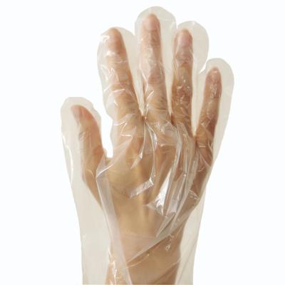 China PLA Amazon Success Transparent Gloves Disposable Hand Examination Gloves Eco Friendly Compostable Food Safety Gloves for sale