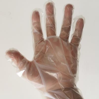 China PLA Amazon Success Transparent Gloves Disposable Hand Examination Gloves Eco Friendly Compostable Food Safety Gloves for sale