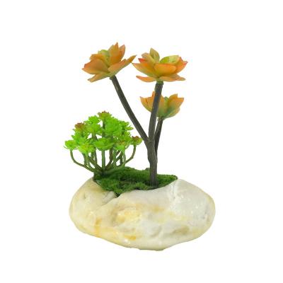 China Modern Resin Orchid Pot Flower Pots For Indoor Succulent Plants Decorative Plant Pots for sale