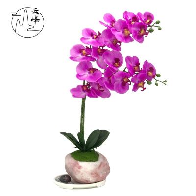 China Stocked/EO-friedfly/To Clean Easy/Not Easy To Break Artificial Orchid Indoor Bonsai Resin Decor Phalaenopsis Flower Bonsai Flowers Potted For Holiday Decoration for sale