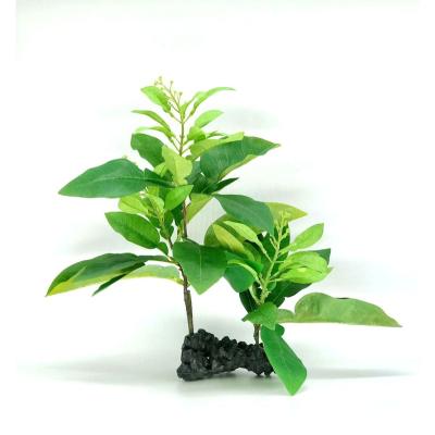 China Viable Aquarium Supplier Hot Sale Aquarium Plants For Aquarium Tank Decorations for sale