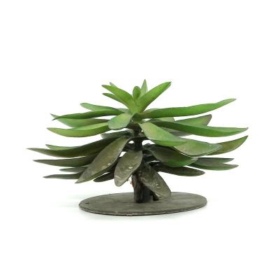 China Artificial Habitat Viable Product Aquarium Plants Aquarium Plant Supplies Accessories Mini Greenhouse Pet Decor Reptile Decoration for sale