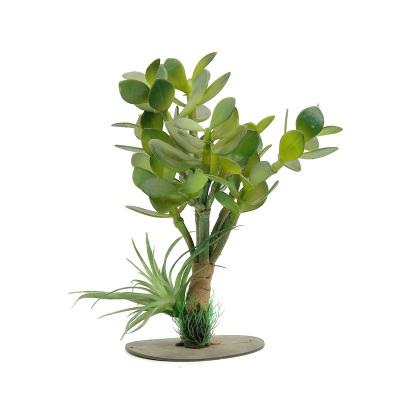 China Viable Plants Aquarium Accessories Decorations Ornaments Products Pet Artificial Fake Plastic Reptile Tank Decoration for sale