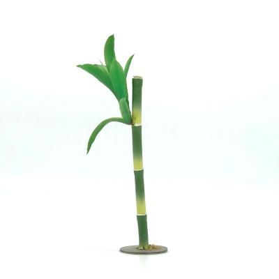 China New Viable Aquarium Plastic Supplie Plants For Mini Greenhouse Aquarium Decoration for sale