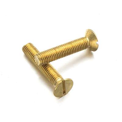 China Machine Screws Wholesale Brass Steel Customized Machine Torx Set Socket Screw Good Quality for sale