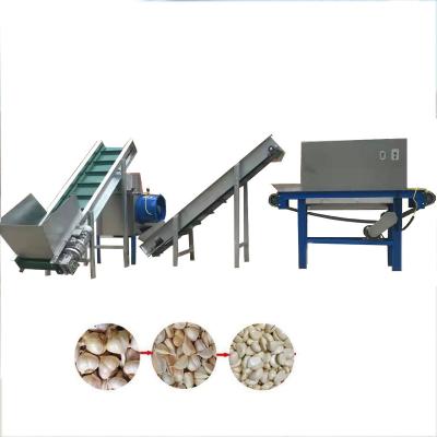 China Factory Industrial Automatic Garlic Breaking Peeling Machinery Garlic Processing Production Line for sale