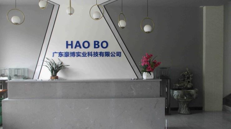 Verified China supplier - GD Haobo Industrial Technology Co., Ltd.