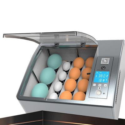 China Farms Temperature Control and Automatic Egg Turner Fully Automatic Digital Poultry Hatching Machine Egg Incubators for Chicken for sale