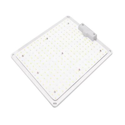 China Seed Starting Hot Sale Adjustable LED Growing Lights for Plants Full Spectrum 100w Indoor Waterproof Plant Growth Panel Lamp for sale