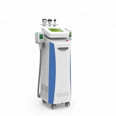 China Best effect!!! fat freeze,skin rejuvenation,wrinkle removal cryolipolysis slimming machine for sale